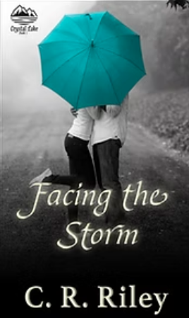 Facing the Storm by C.R. Riley