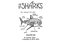 The Life of Sharks: Volume 1 by Christian Talbot, Sophie Hodge