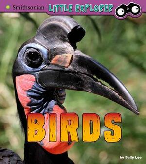 Birds: A 4D Book by Sally Lee