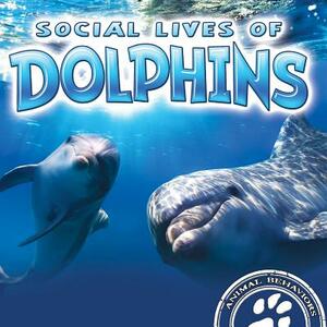 Social Lives of Dolphins by Sue Laneve
