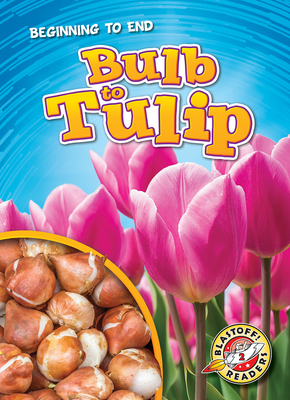 Bulb to Tulip by Rachel Grack