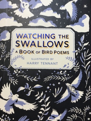 Watching the Swallows: A Book of Bird Poems by Harry Tennant
