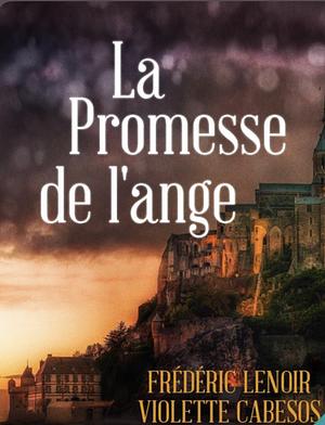 La Promesse de l'Ange by Frédéric Lenoir, Violette Cabesos
