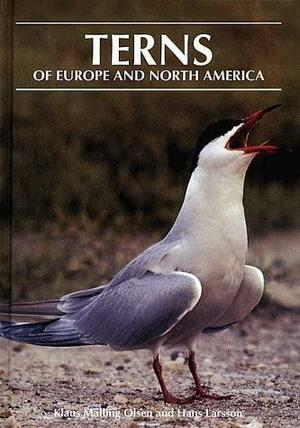 Terns of Europe and North America by Klaus Malling Olsen, Hans Larsson