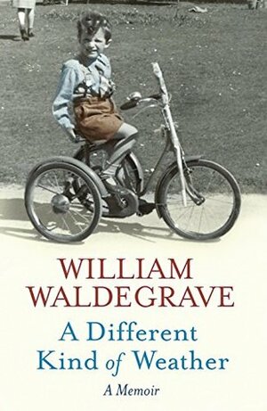 A Different Kind Of Weather: A Memoir (Dark-Hunter World) by William Waldegrave