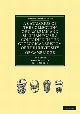 A Catalogue of the Collection of Cambrian and Silurian Fossils Contained in the Geological Museum of the University of Cambridge by John Morris, Adam Sedgwick, J. W. Salter