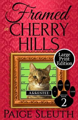 Framed in Cherry Hills by Paige Sleuth