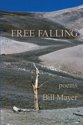 Free Falling by Bill Mayer