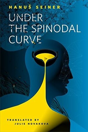 Under the Spinodal Curve by Julie Nováková, Hanuš Seiner