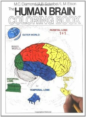 The Human Brain Coloring Book by Arnold B. Scheibel, Marian C. Diamond, Lawrence M. Elson