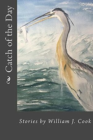 Catch of the Day by William J. Cook