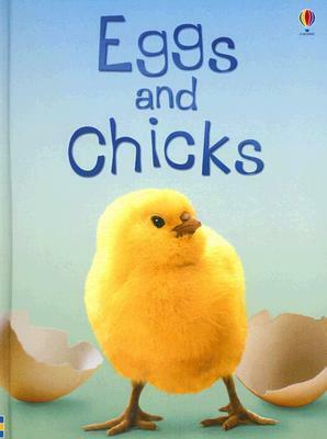 Eggs and Chicks, Level 1: Internet Referenced by Fiona Patchett