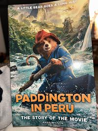 Paddington in Peru  by Anna Wilson