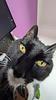 booksandstarss's profile picture