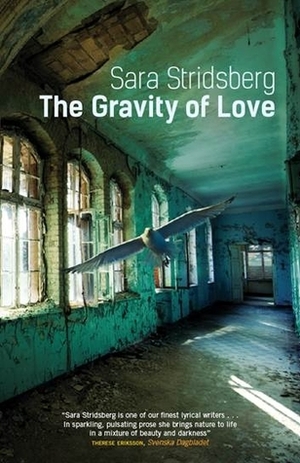 The Gravity of Love by Sara Stridsberg, Deborah Bragan-Turner