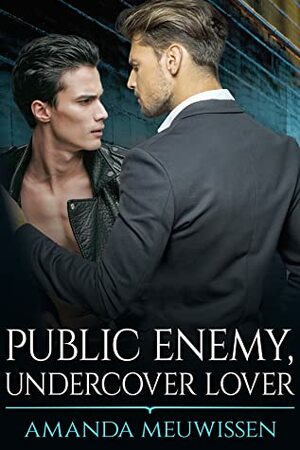 Public Enemy, Undercover Lover by Amanda Meuwissen