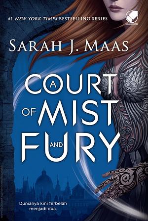 A Court of Mist and Fury by Sarah J. Maas