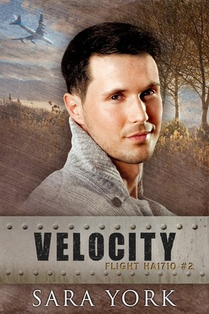 Velocity by Sara York