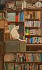 bookdino_reads's profile picture