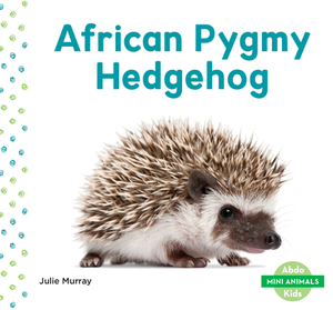 African Pygmy Hedgehog by Julie Murray