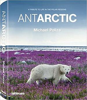 Antarctic - Life in the Polar Regions by David de Rothschild, Stefan Schulze-Hausmann, Michael Poliza, Uta Gruenberger