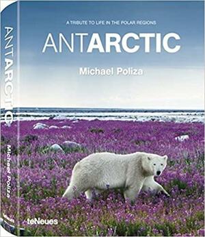 Antarctic - Life in the Polar Regions by David de Rothschild, Uta Gruenberger, Stefan Schulze-Hausmann, Michael Poliza