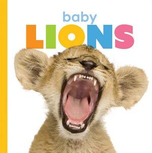 Baby Lions by Kate Riggs