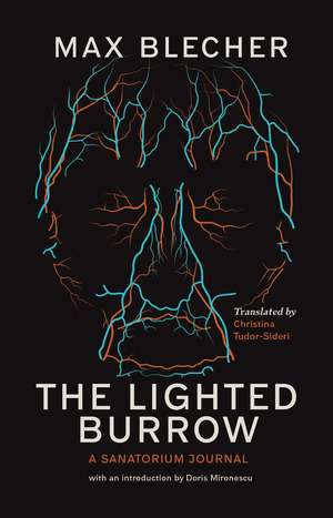 The Lighted Burrow by Max Blecher