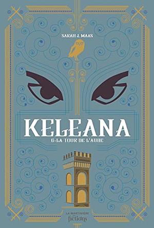 Keleana tome 6: La Tour de l'aube by Sarah J. Maas