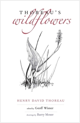 Thoreau's Wildflowers by Henry David Thoreau