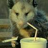 kat_epub's profile picture