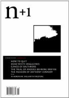 n+1 Issue 15: Amnesty by Benjamin Kunkel, Lawrence Jackson, Anand Vaidya, Marian Schwartz, Julia Gronnevet, Mikhail Shishkin, Hannah Tennant-Moore, Kristen Dombek, n+1, Jeremy Kessler, Nikil Saval