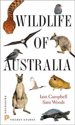 Wildlife of Australia by Iain Campbell, Sam Woods