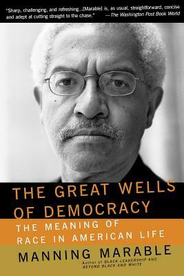 The Great Wells of Democracy: The Meaning of Race in American Life by Manning Marable