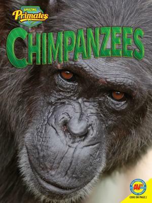 Chimpanzees by Helen Lepp Friesen