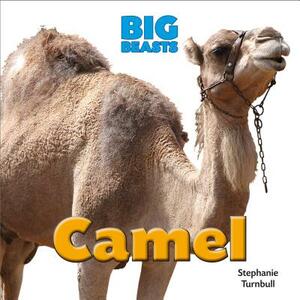 Camel by Stephanie Turnbull