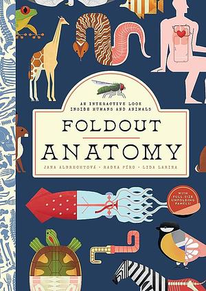 Foldout Anatomy: An Interactive Look Inside Humans and Animals by Radka Píro, Jana Albrechtová