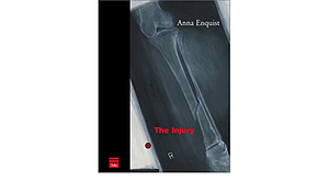 The Injury by Anna Enquist