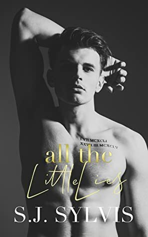 All the Little Lies by S.J. Sylvis