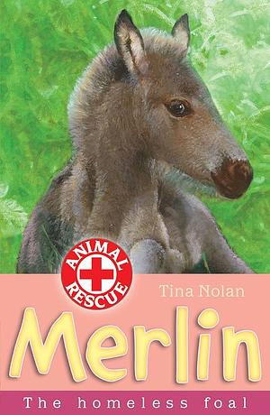 Merlin: The Homeless Foal by Tina Nolan