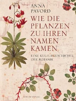 Wie die Pflanzen zu ihren Namen kamen: eine Kulturgeschichte der Botanik by Anna Pavord