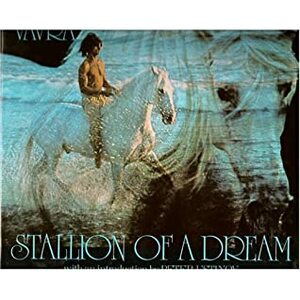 Stallion of a Dream by Robert Vavra