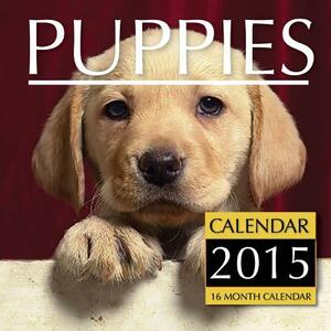 Puppies Calendar 2015: 16 Month Calendar by James Bates