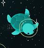 space_turtle117's profile picture
