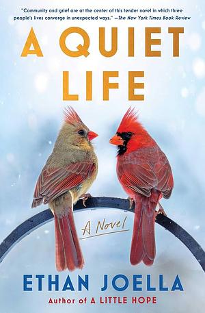 A Quiet Life by Ethan Joella