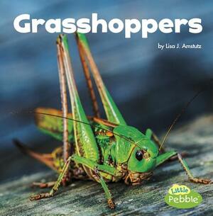 Grasshoppers by Lisa J. Amstutz