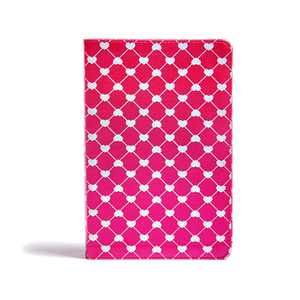 CSB Kids Bible, Shiny Hearts Leathertouch by Csb Bibles by Holman