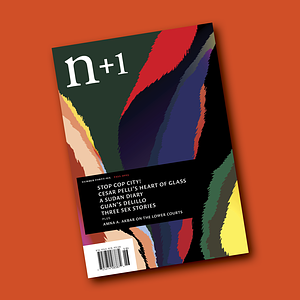 n+1 Issue 46: Agitation  by n+1