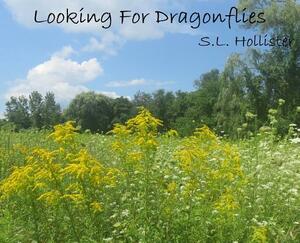 Looking For Dragonflies by S. L. Hollister