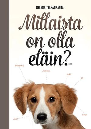 Millaista on olla eläin? by Helena Telkänranta